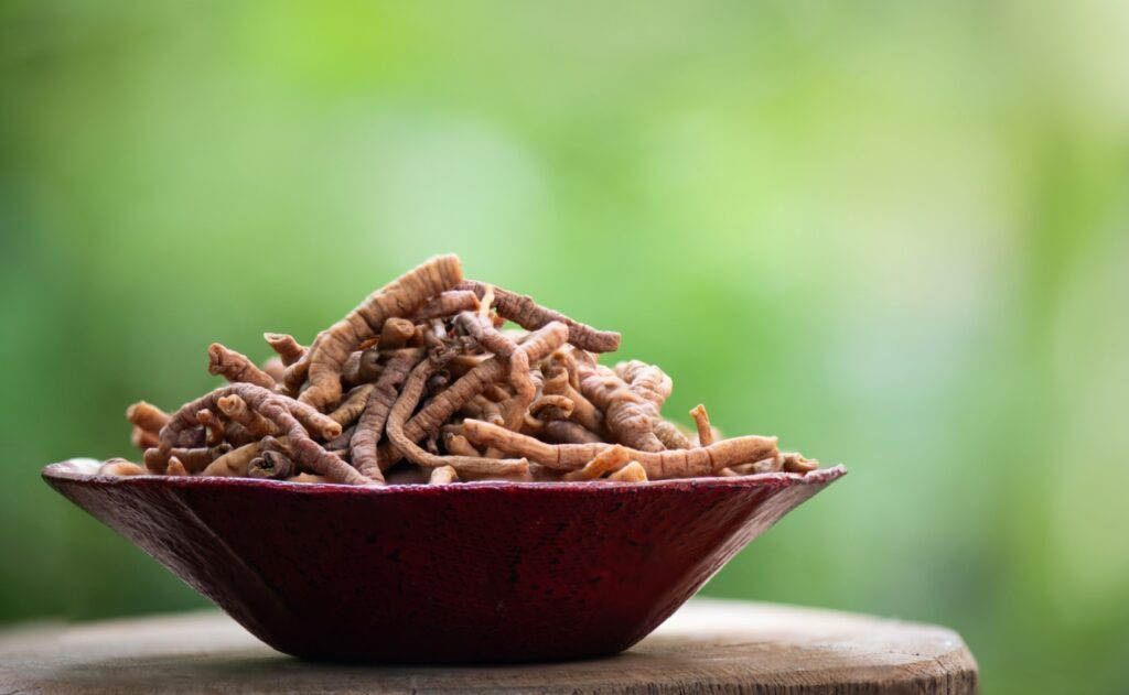 Getrocknete Senegawurzel in einer roten Schale auf einem Holztisch vor grünem Hintergrund. Die Senegawurzel, bekannt für ihre möglichen entzündungshemmenden und neuroregenerativen Eigenschaften, wird in der Behandlung von Demenz untersucht.